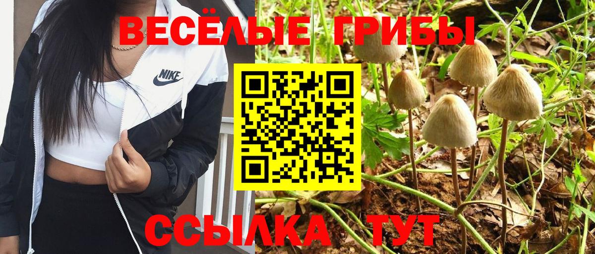 КЕТАМИН Ипатово