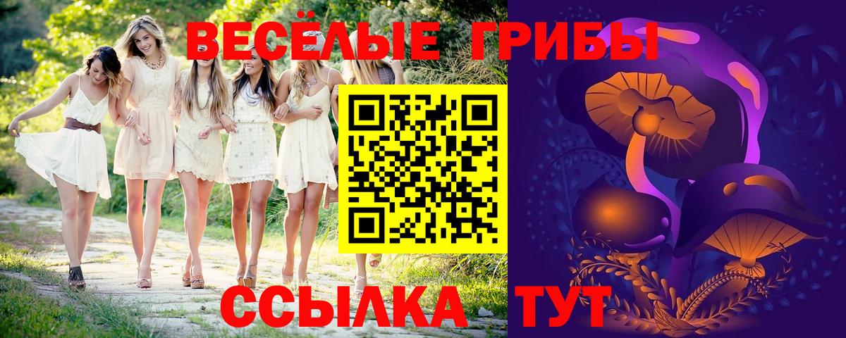 Псилоцибиновые грибы Psilocybine cubensis Ипатово